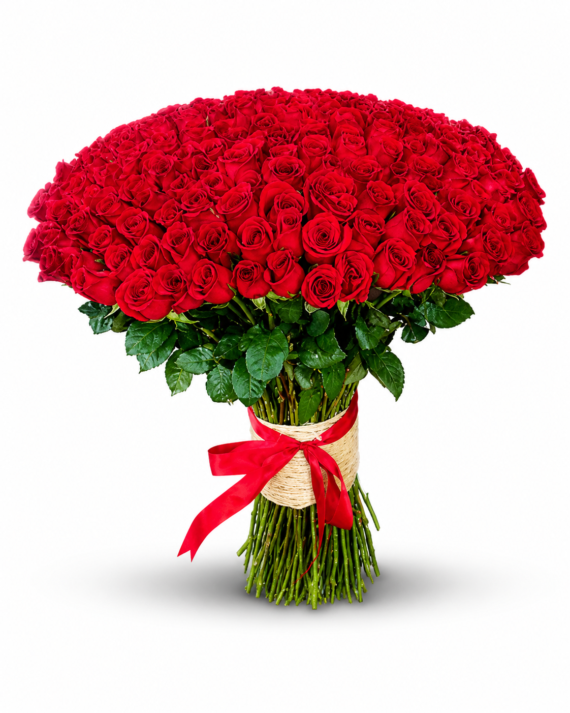 Ramo Buchón 200 Rosas Rojas