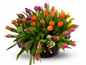 Arreglo de Tulipanes Multicolor